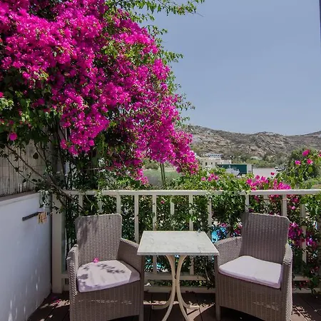 Corali Hotel 2*